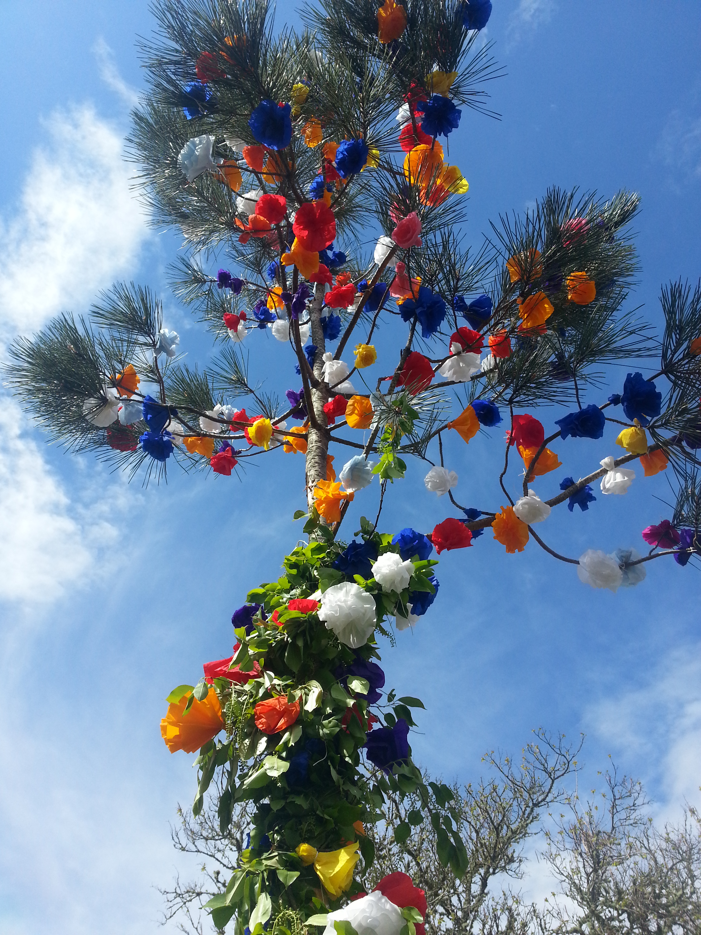 maiade mayade pin decore landes 1er mai honneur