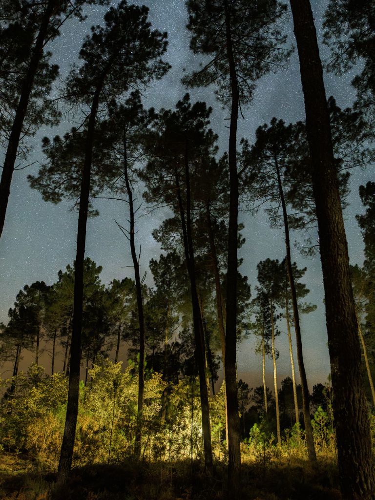 ciel etoile nuit des forets 2025